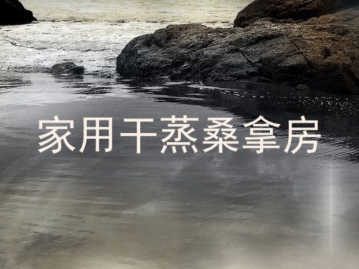 家用干蒸桑拿房