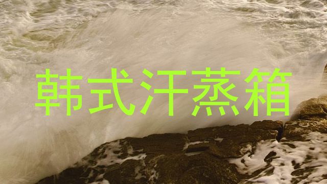 韩式汗蒸箱