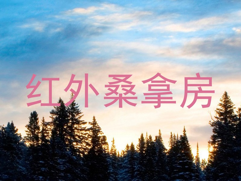 红外桑拿房
