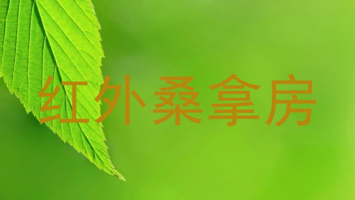 红外桑拿房