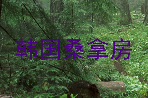 韩国桑拿房