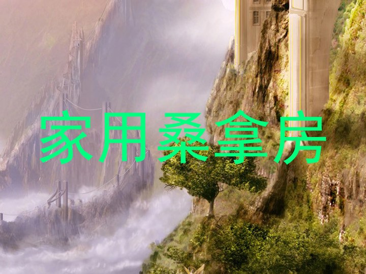 家用桑拿房