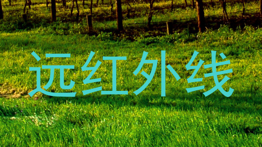 远红外线