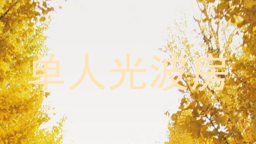单人光波房