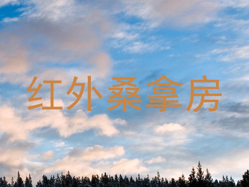 红外桑拿房