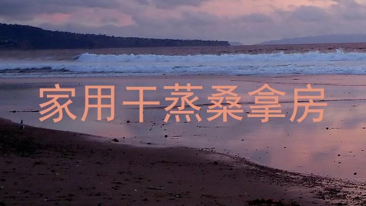 家用干蒸桑拿房