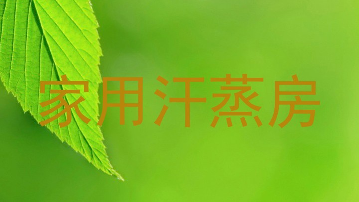 家用汗蒸房