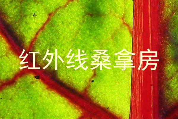 红外线桑拿房
