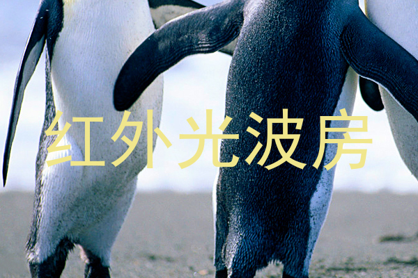 红外光波房