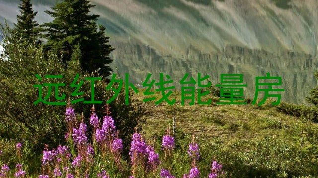远红外线能量房