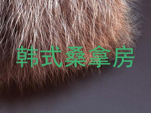 韩式桑拿房