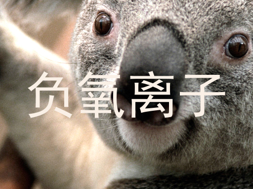 负氧离子