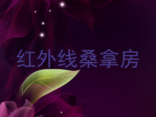 红外线桑拿房