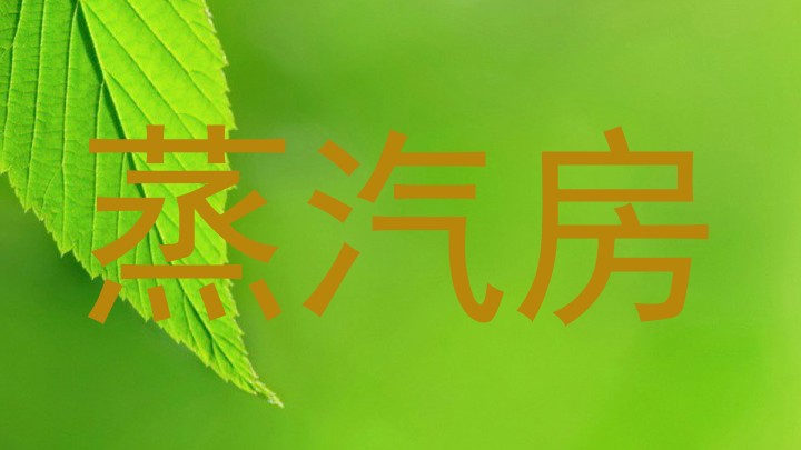 蒸汽房