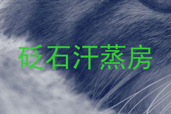 砭石汗蒸房