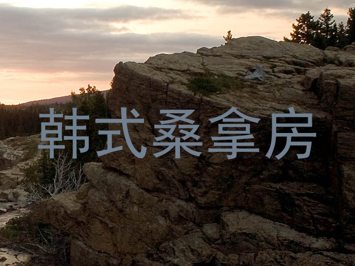 韩式桑拿房