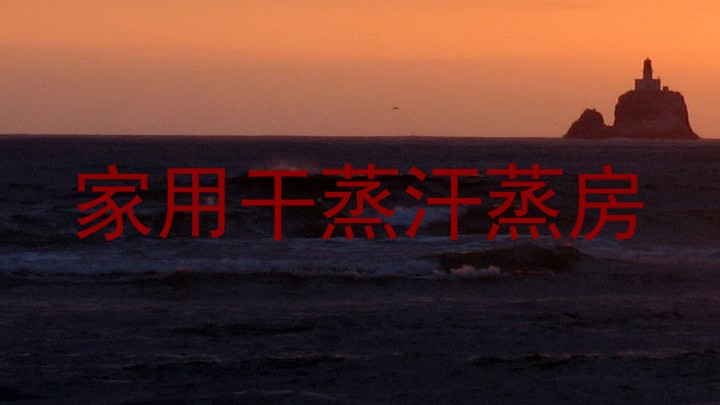 家用干蒸汗蒸房