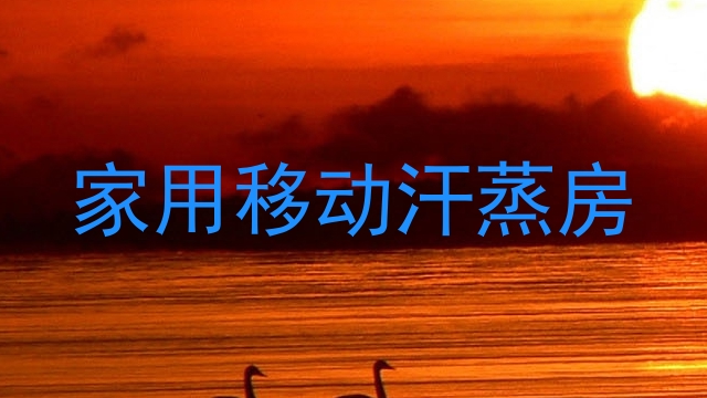 家用移动汗蒸房