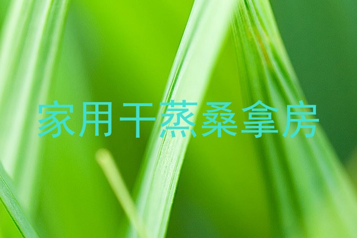 家用干蒸桑拿房