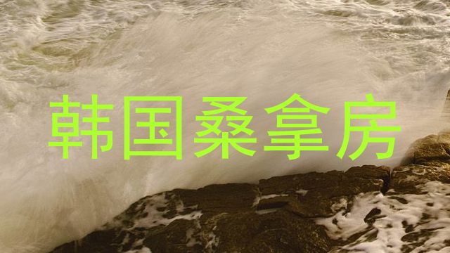 韩国桑拿房