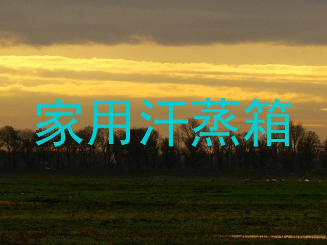 家用汗蒸箱