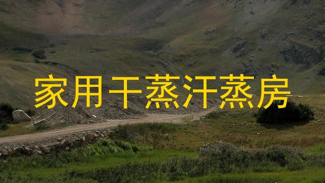 家用干蒸汗蒸房