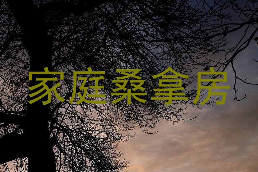 家庭桑拿房