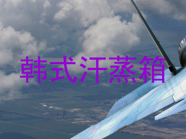 韩式汗蒸箱