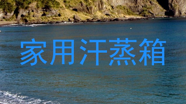 家用汗蒸箱