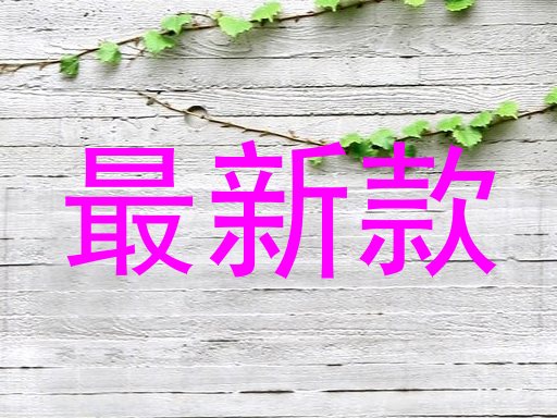 最新款
