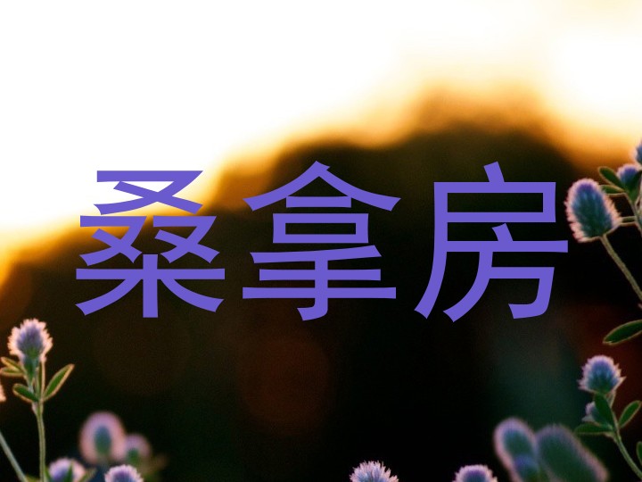 桑拿房