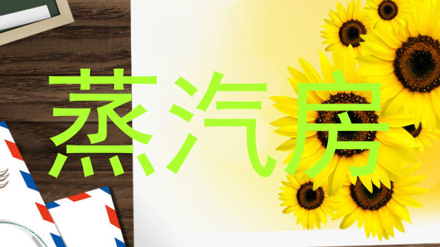 蒸汽房