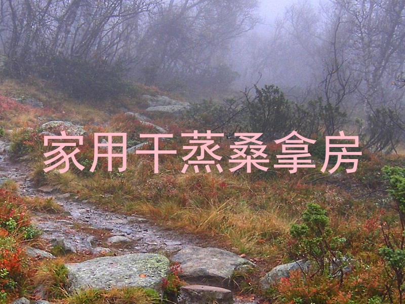 家用干蒸桑拿房