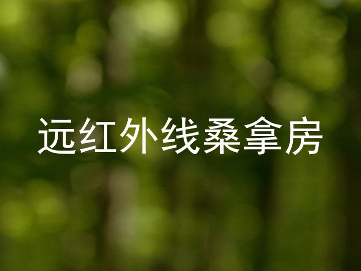 远红外线桑拿房
