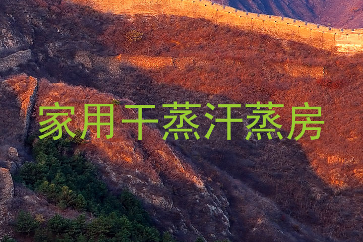 家用干蒸汗蒸房
