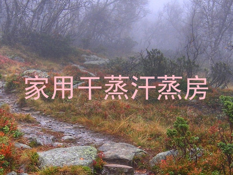家用干蒸汗蒸房