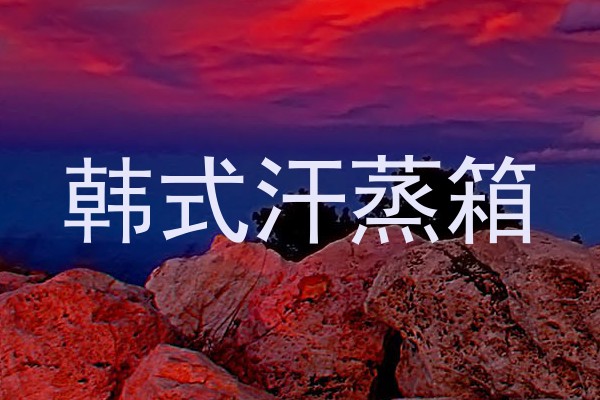 韩式汗蒸箱