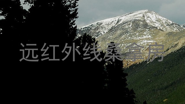 远红外线桑拿房