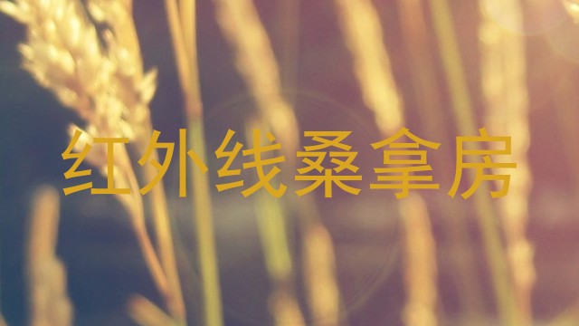 红外线桑拿房