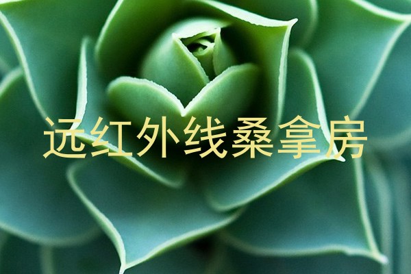 远红外线桑拿房