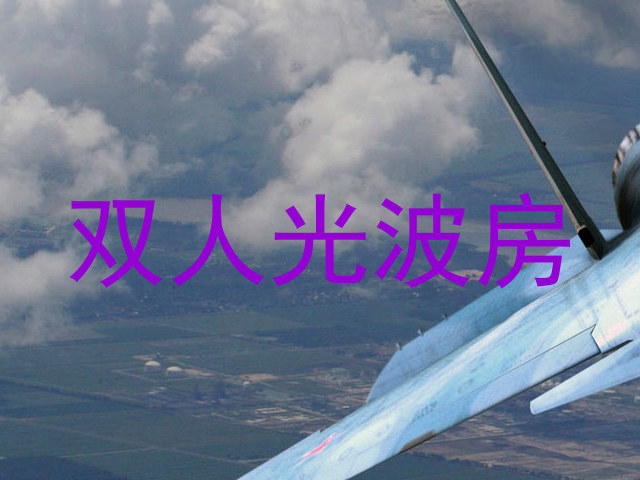 双人光波房