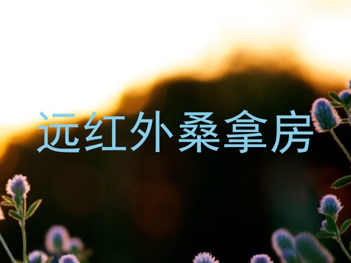 远红外桑拿房