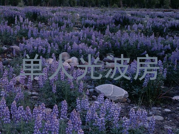 单人光波房