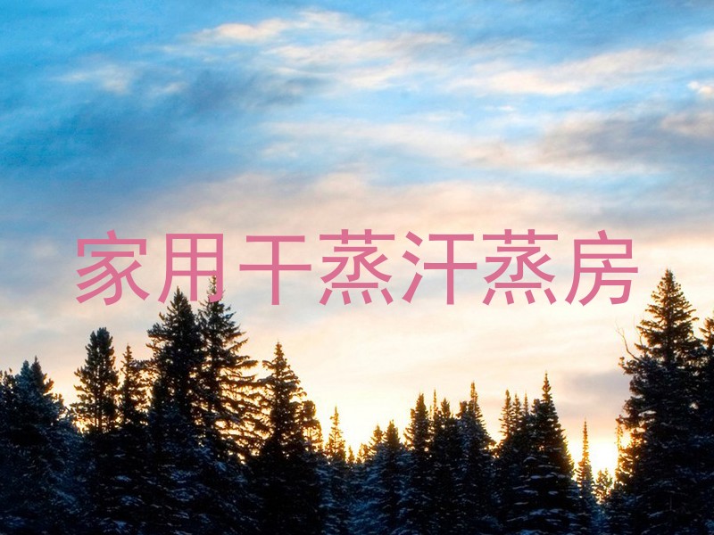 家用干蒸汗蒸房