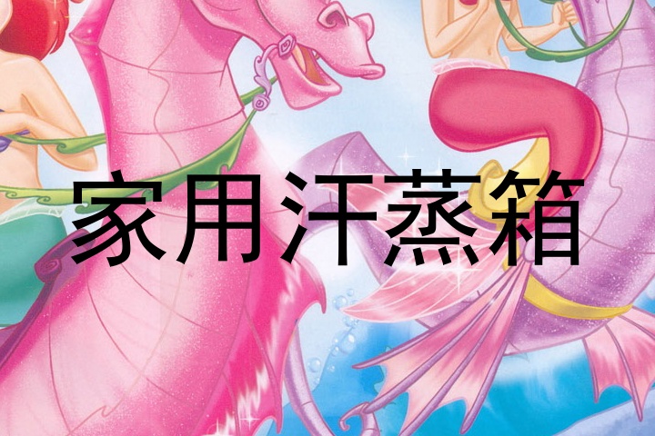 家用汗蒸箱