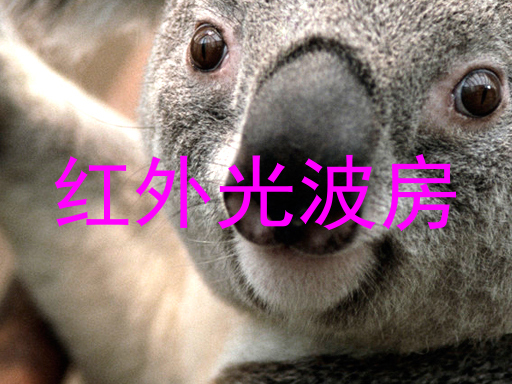红外光波房