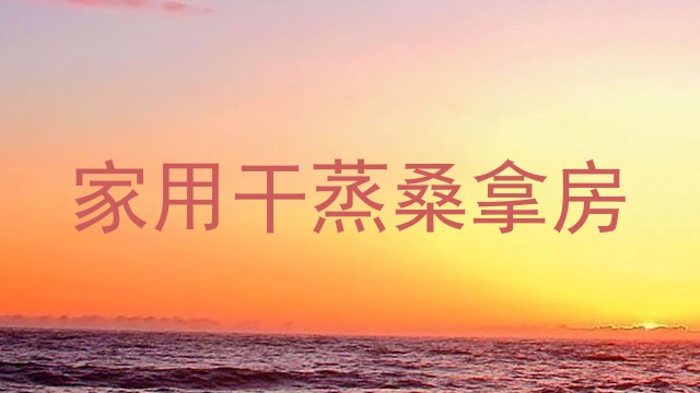 家用干蒸桑拿房
