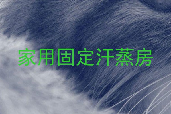 家用固定汗蒸房