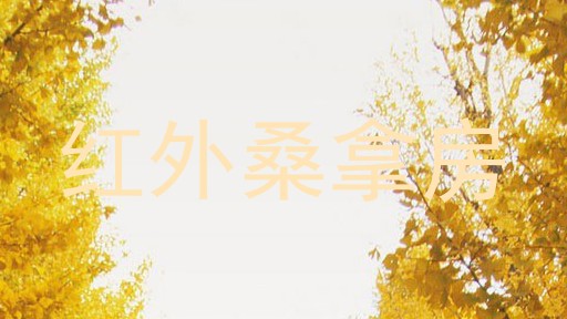红外桑拿房