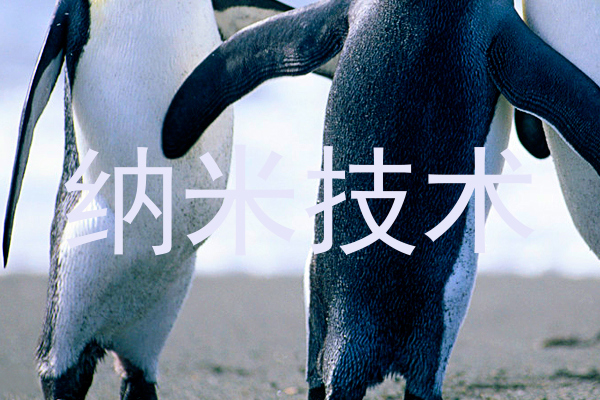 纳米技术